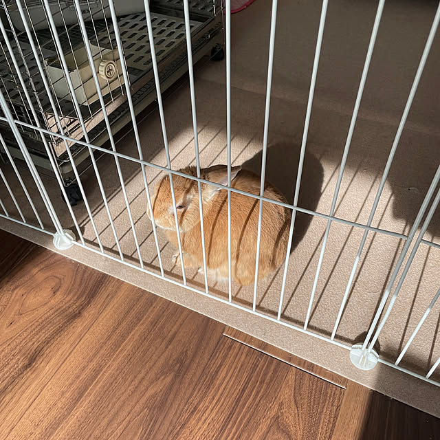 anaさんの部屋