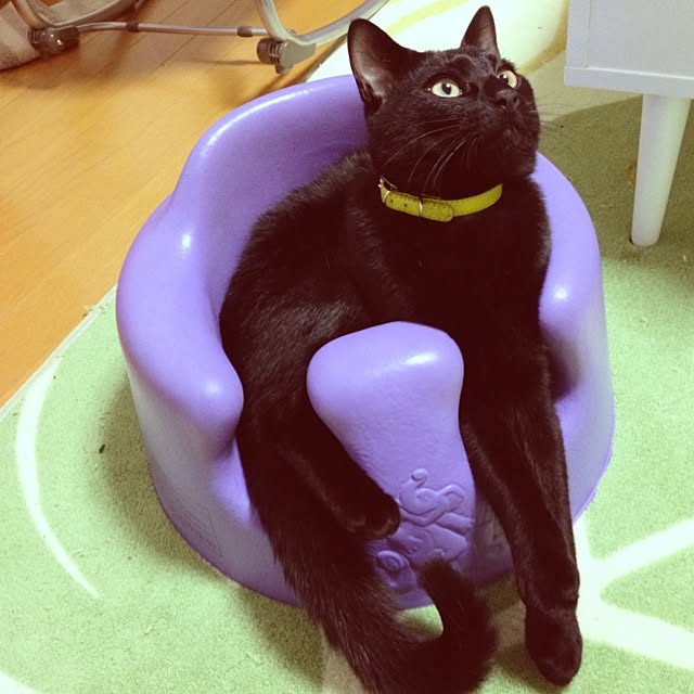 popomichanさんの実例写真