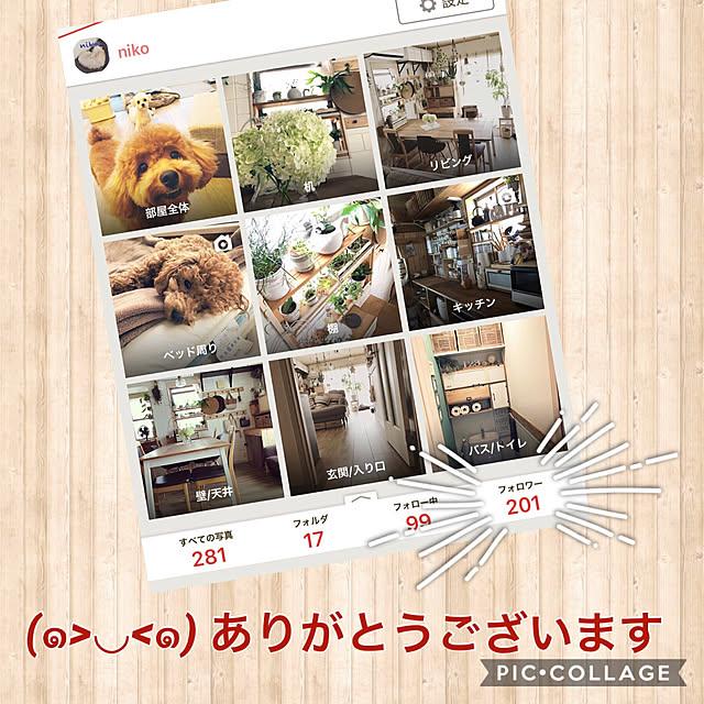 nikoさんの実例写真