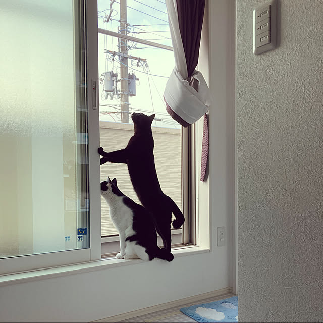 aruさんの実例写真
