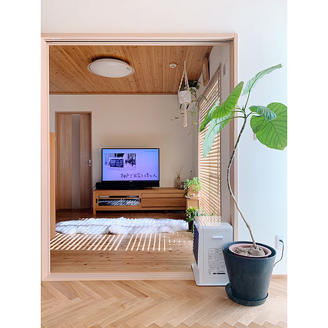 グリーンインテリア/グリーンのある暮らし/建売を自分好みに♡/暮らし/建売...などのインテリア実例 - 2022-01-28 12:08:47