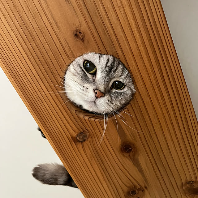 kuuさんの実例写真
