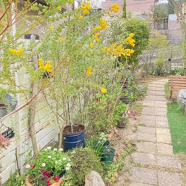 min_nimさんの実例写真