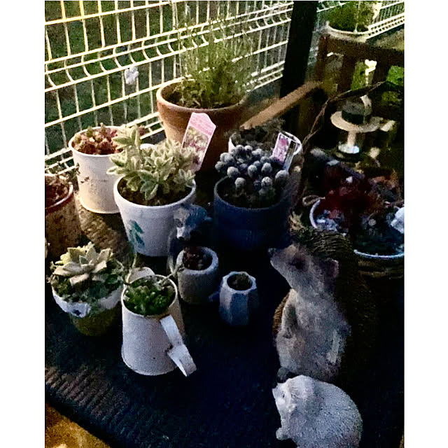 CoCo0617さんの部屋