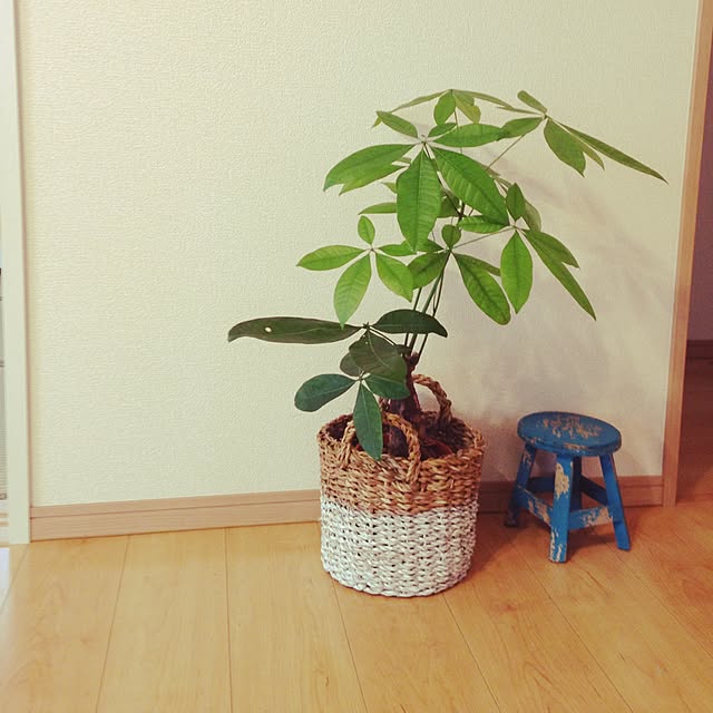 nataukichさんの実例写真