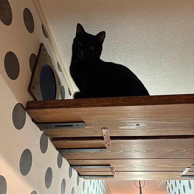 Tetsuyaさんの実例写真