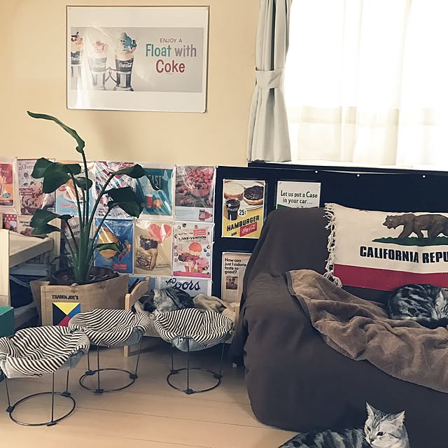 Calさんの実例写真