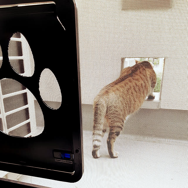 nyasukenoさんの実例写真