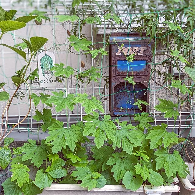 junさんの実例写真