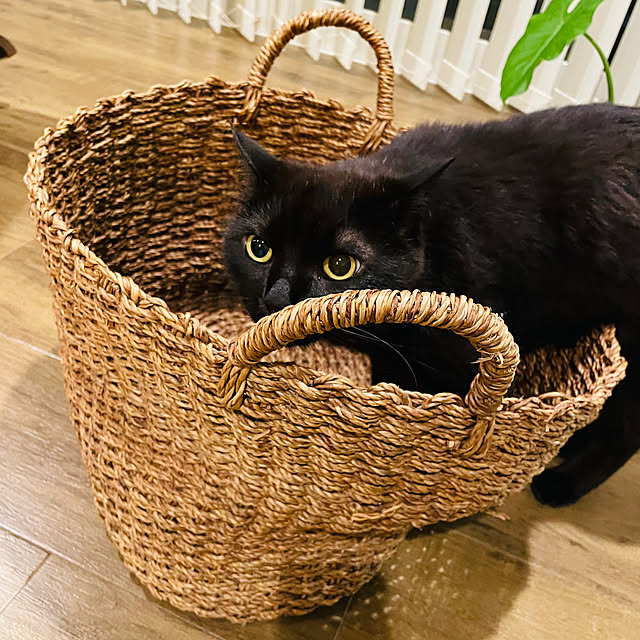 Syuさんの部屋