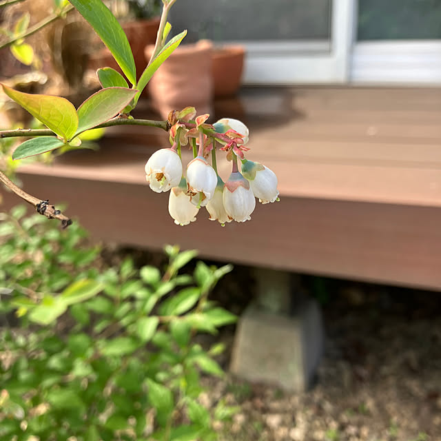 ikubooさんの部屋