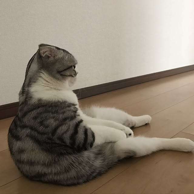 Dahliaさんの実例写真