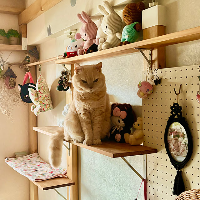 naokoさんの部屋