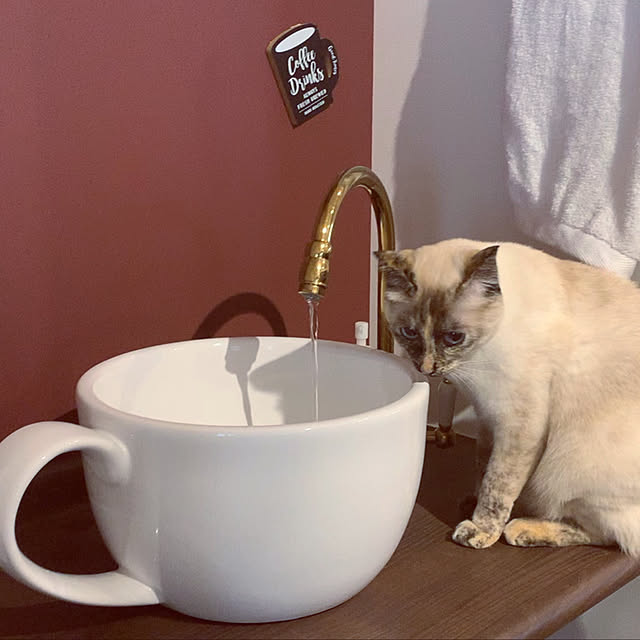 miyaさんの実例写真