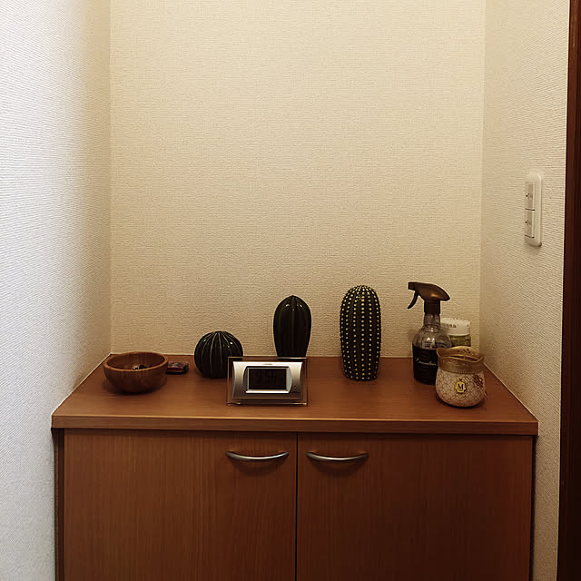 一人暮らし/ナチュラル/IKEA/玄関/入り口のインテリア実例 - 2019-03-31 21:57:08