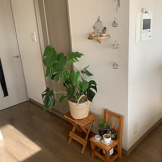 JUNさんの実例写真