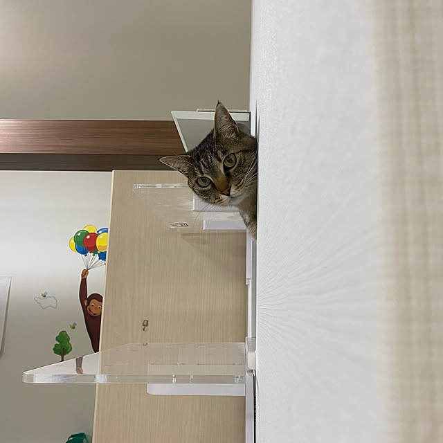 mikomaruさんの実例写真