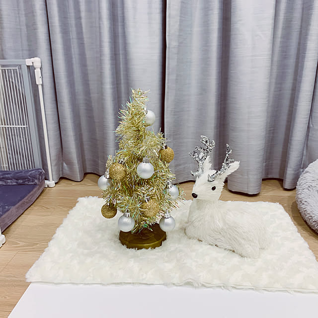 xxinunekoxxさんの実例写真