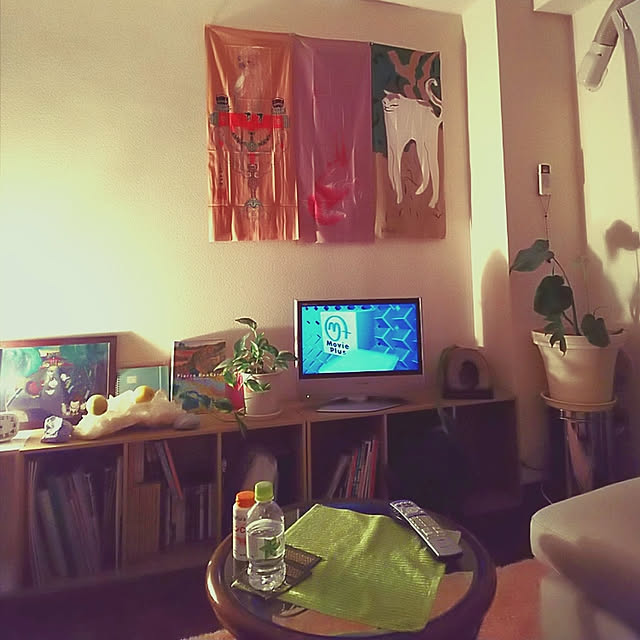 kusunokiさんの実例写真