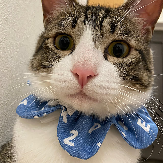 arashi530さんの部屋