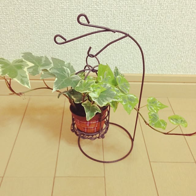 kaoさんの実例写真