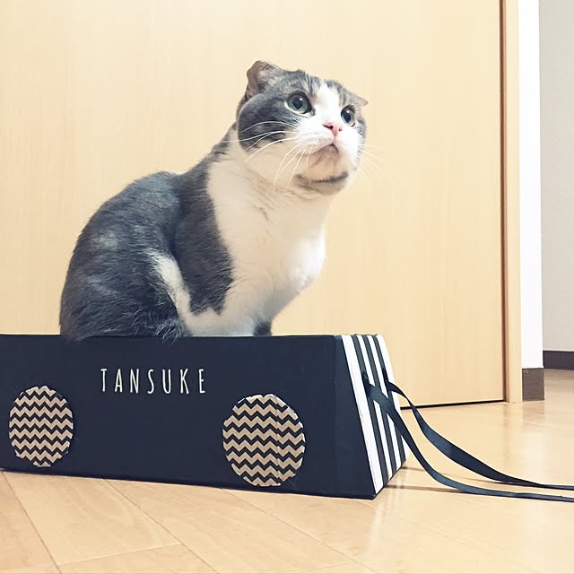 tansukeさんの実例写真