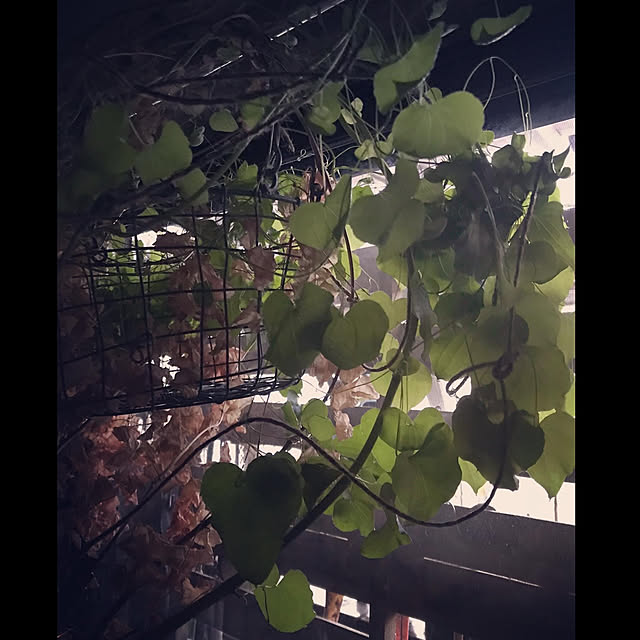 abandonedmineさんの実例写真