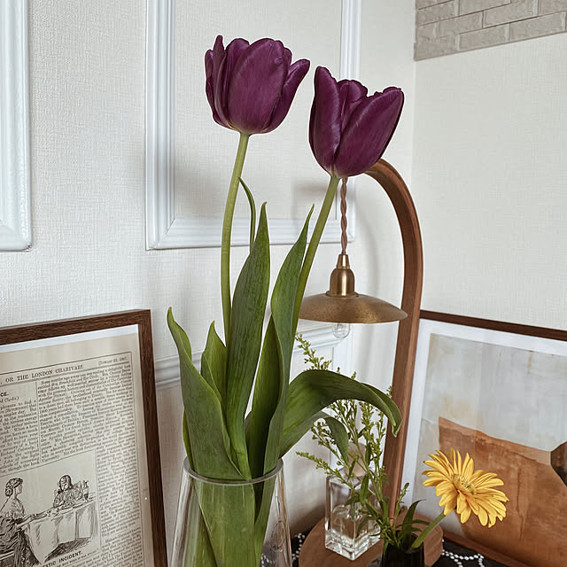 c___homeさんの部屋