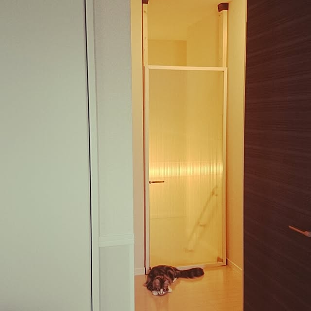 pikachuさんの実例写真