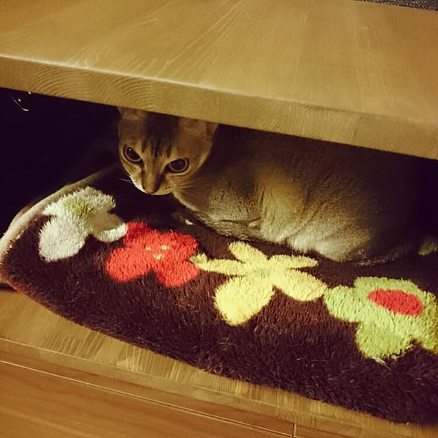 Jcさんの実例写真