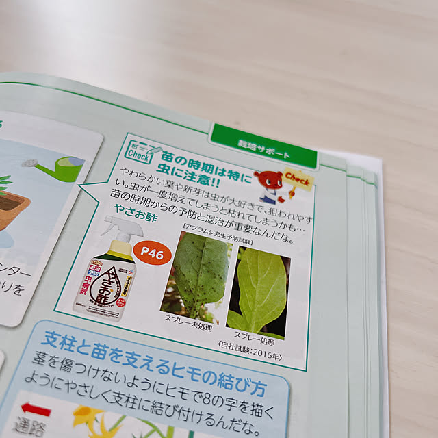 chanduさんの部屋