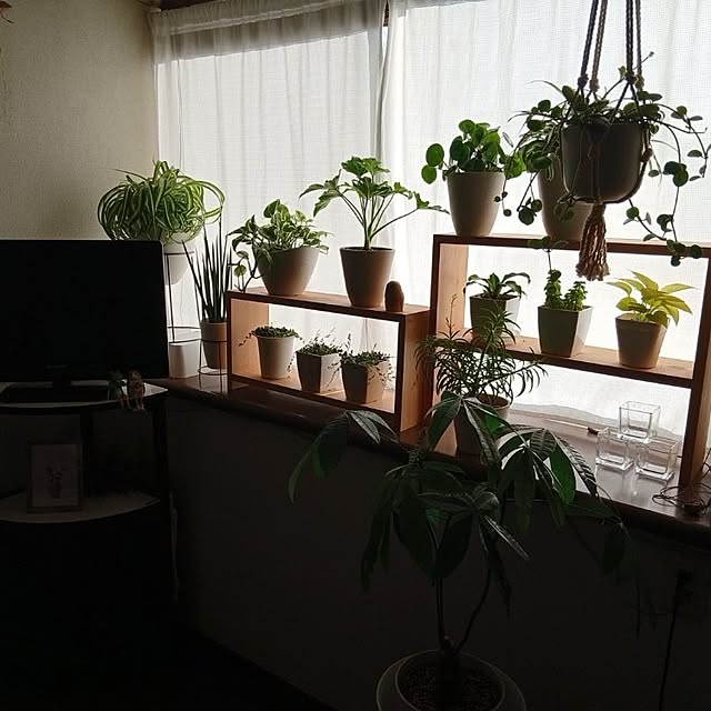 masako921さんの実例写真