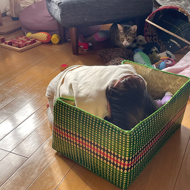 nobikoさんの部屋