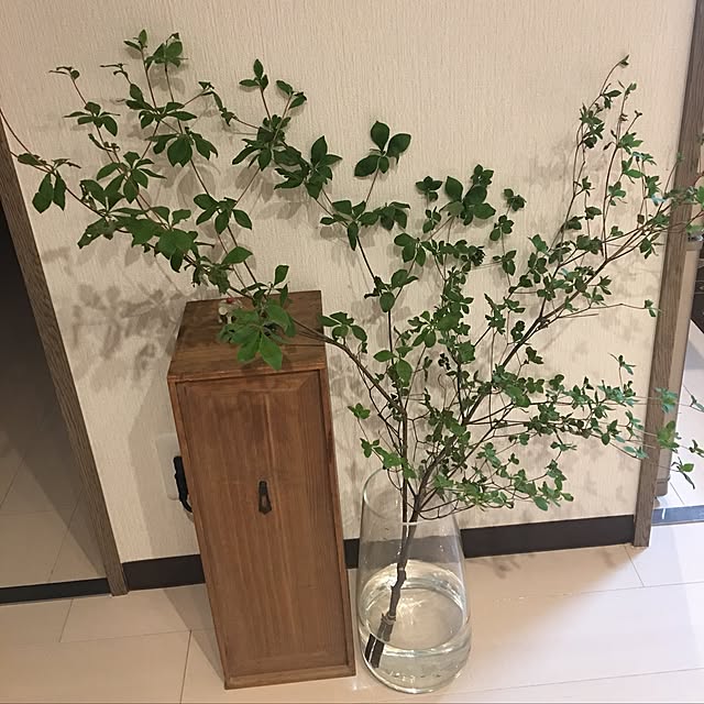 Kumiさんの実例写真