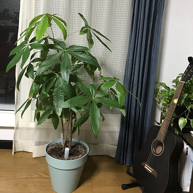 rinaさんの実例写真