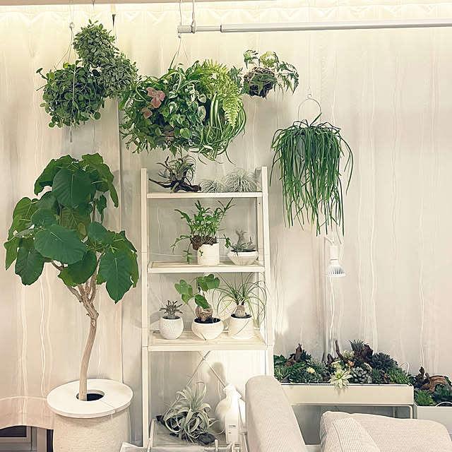 nanakoさんの実例写真