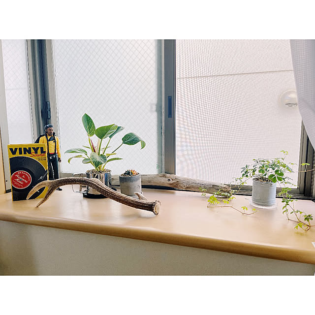 w_end_0625さんの実例写真