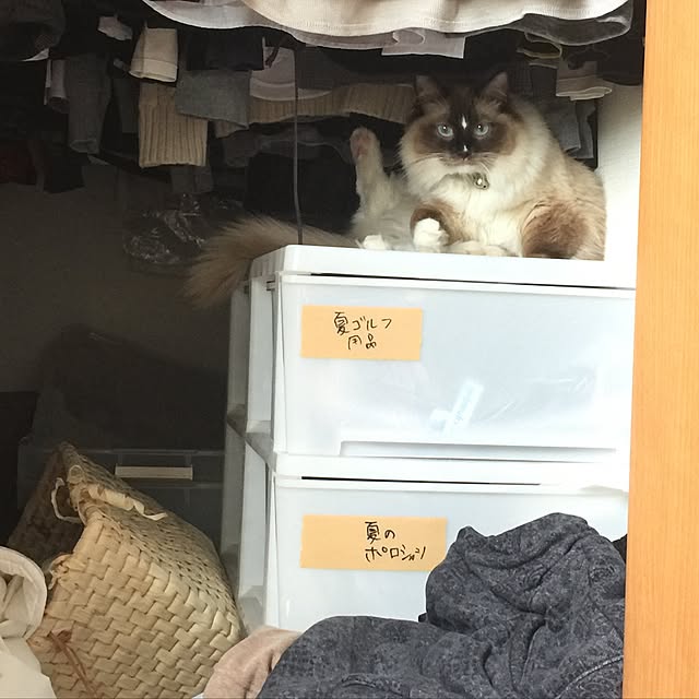 hmhmama0722さんの実例写真