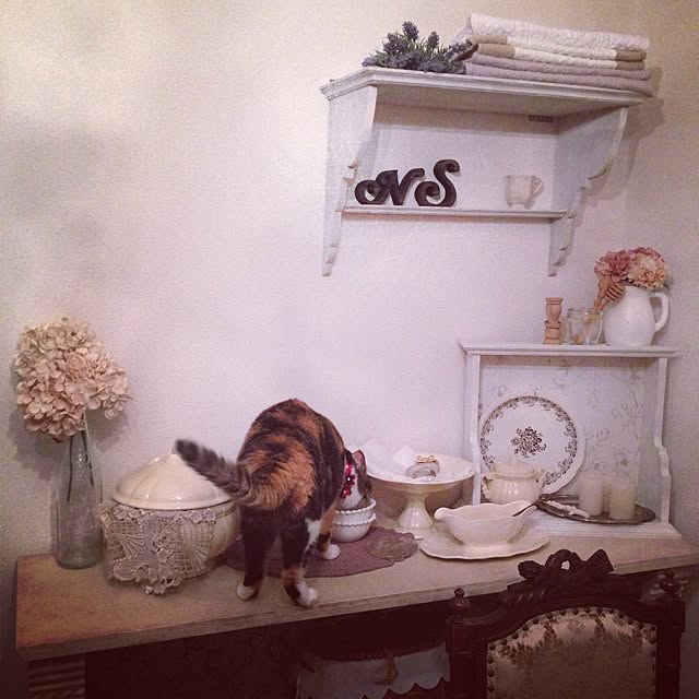 saqura_apartment101さんの実例写真
