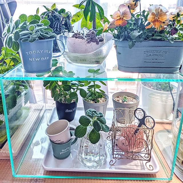 mi-saさんの部屋