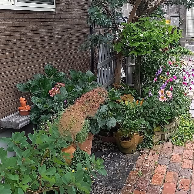 civicglさんの部屋