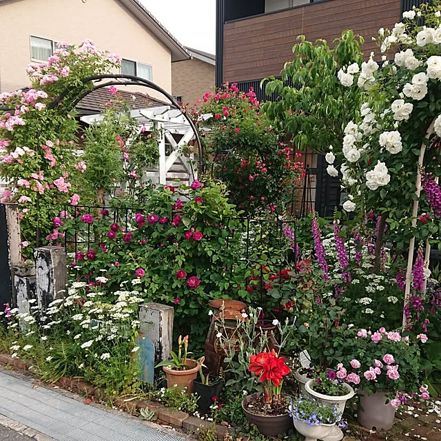 tomotomoさんの実例写真