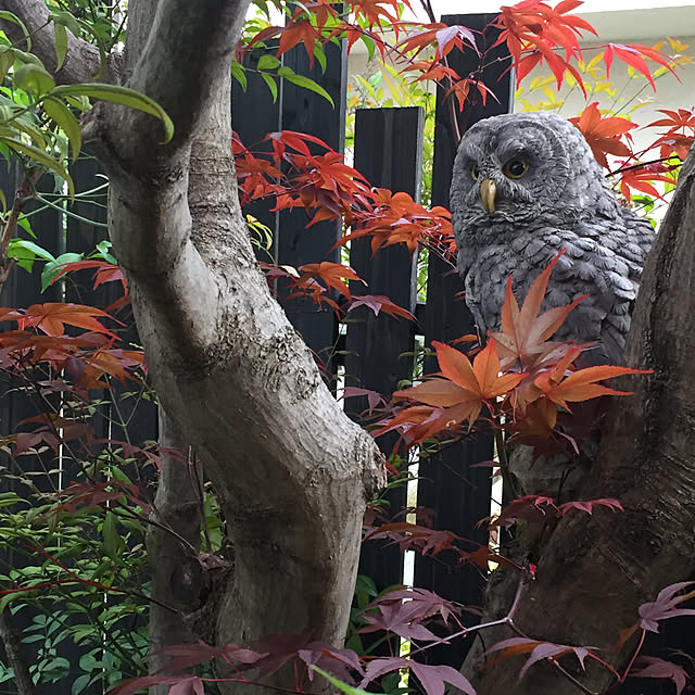 RIERINさんの実例写真