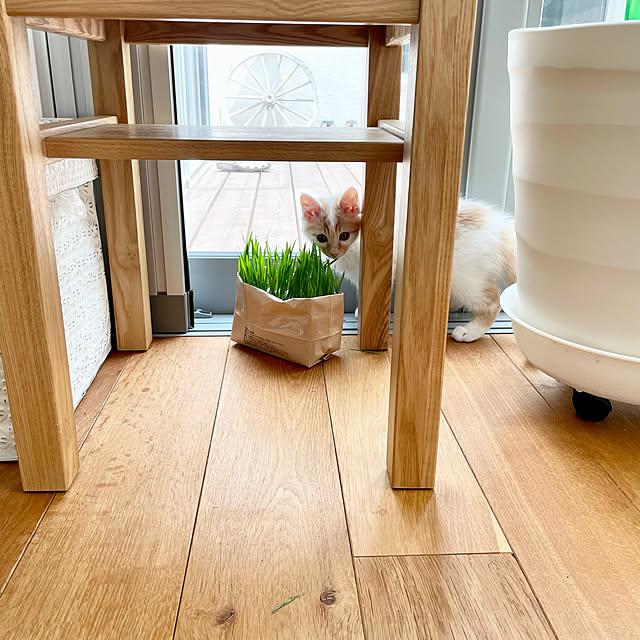 Kaneyukiさんの実例写真