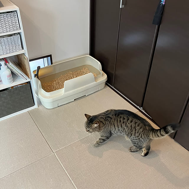 saeさんの部屋