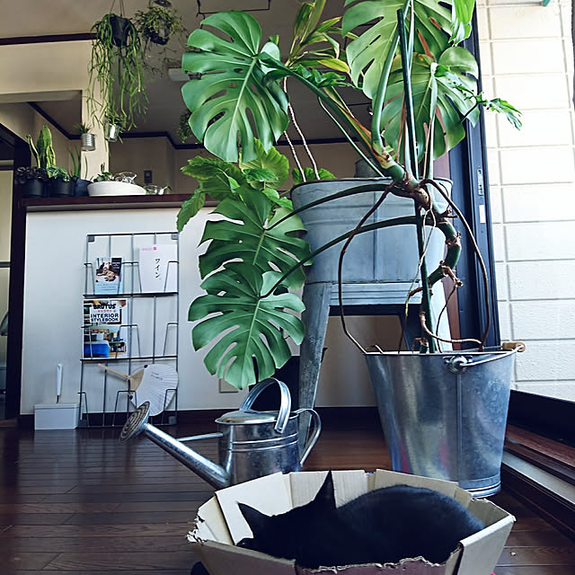 Kさんの実例写真