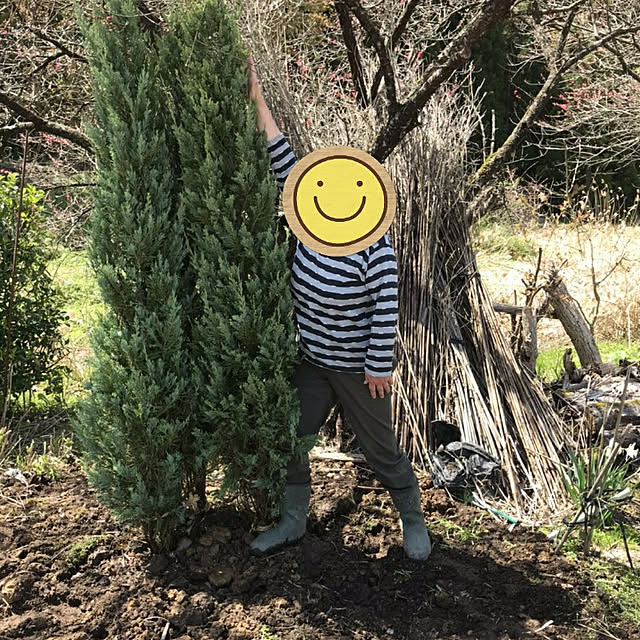 yukijiさんの実例写真