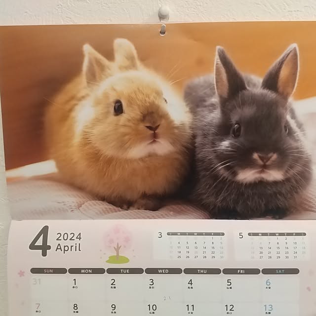 Rさんの部屋