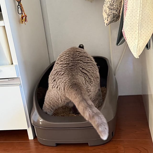 chulashihoさんの部屋