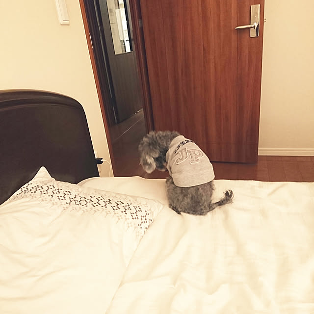 yukaet1008さんの実例写真